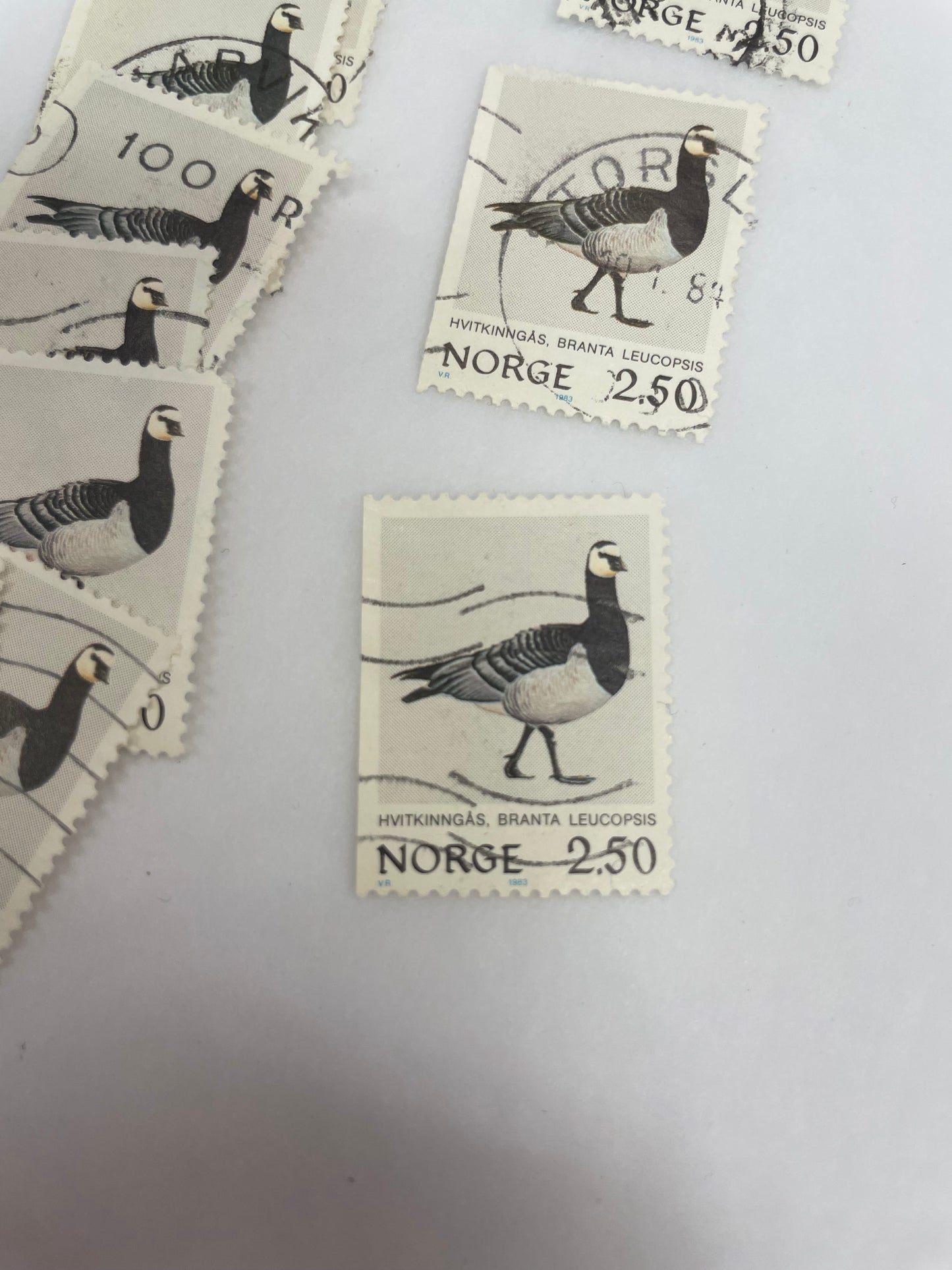 Norge 2,5 Hvitkinngås frimerke selges pr stk