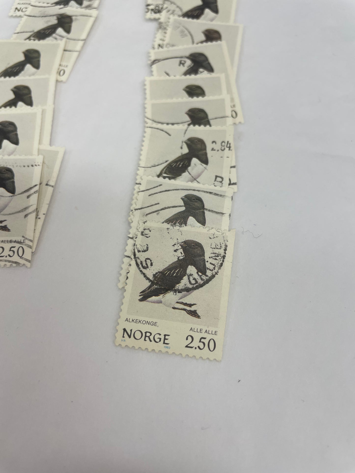 Norsk Alkekonge selges pr stk