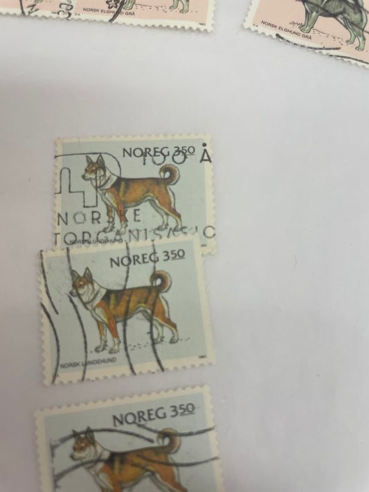 Norsk frimerke 3,50 Lundehund. Selges pr stk