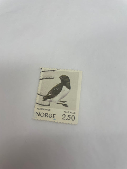 Norsk Alkekonge selges pr stk